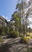 Туры в отель Oaks Cypress Lakes Resort