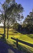 Туры в отель Oaks Cypress Lakes Resort