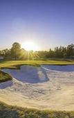 Туры в отель Oaks Cypress Lakes Resort