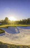 Туры в отель Oaks Cypress Lakes Resort