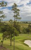 Туры в отель Oaks Cypress Lakes Resort