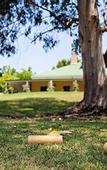 Туры в отель Spicers Guesthouse