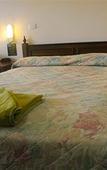 Туры в отель Bushmans Motor Inn
