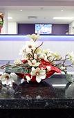 Туры в отель Courtyard By Marriott Darwin