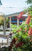 Туры в отель Mercure Ballarat Hotel and Convention Centre