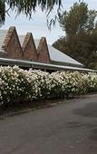 Туры в отель Mercure Ballarat Hotel and Convention Centre