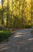 Туры в отель Mercure Ballarat Hotel and Convention Centre