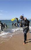 Туры в отель Nomads Magnetic Island - Hostel