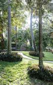 Туры в отель City Oasis Inn Townsville, SureStay Collection by BW