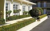 Туры в отель ibis Styles Albany