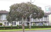 Туры в отель ibis Styles Albany
