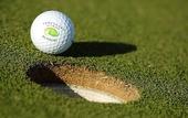 Туры в отель Mercure Bunbury Sanctuary Golf Resort