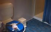 Туры в отель Windrose B&B