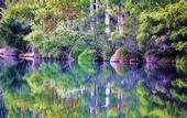 Туры в отель Eight Willows Retreat
