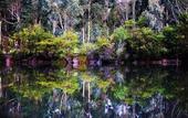 Туры в отель Eight Willows Retreat
