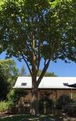 Туры в отель The Noble Grape Guesthouse