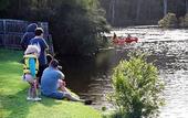 Туры в отель Riverview Tourist Park