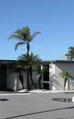 Туры в отель Hospitality Geraldton, SureStay Collection by Best Western