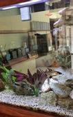 Туры в отель Hospitality Geraldton, SureStay Collection by Best Western