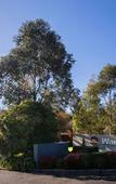 Туры в отель Comfort Inn & Suites Warragul