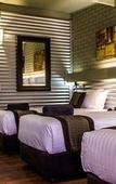 Туры в отель The Olive Tree Motel