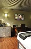 Туры в отель The Olive Tree Motel