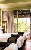Туры в отель The Olive Tree Motel