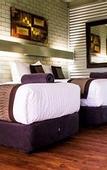 Туры в отель The Olive Tree Motel