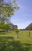 Туры в отель Quality Inn and Suites Traralgon