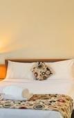 Туры в отель Comfort Inn Traralgon