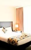 Туры в отель Comfort Inn Traralgon