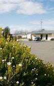 Туры в отель Merivale Motel