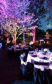 Туры в отель Crowne Plaza Hawkesbury Valley by IHG