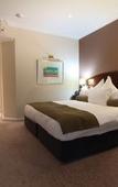 Туры в отель Crowne Plaza Hawkesbury Valley by IHG