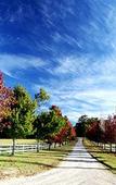 Туры в отель The Oaks Ranch