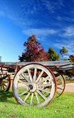 Туры в отель The Oaks Ranch