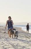 Туры в отель BIG4 Breeze Holiday Parks - Busselton