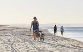 Туры в отель BIG4 Breeze Holiday Parks - Busselton