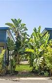 Туры в отель BIG4 Breeze Holiday Parks - Busselton
