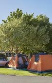 Туры в отель BIG4 Breeze Holiday Parks - Busselton