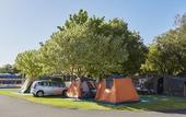 Туры в отель BIG4 Breeze Holiday Parks - Busselton