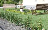 Туры в отель SureStay Hotel by Best Western The Clarence on Melville