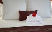 Туры в отель SureStay Hotel by Best Western The Clarence on Melville