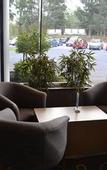 Туры в отель Dorset Gardens Hotel