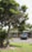 Туры в отель Quality Inn Penrith