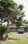 Туры в отель Quality Inn Penrith