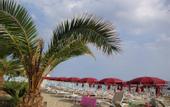 Туры в отель Grand Hotel La Playa