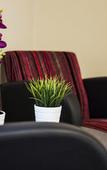 Туры в отель Toongabbie Hotel