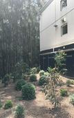 Туры в отель Ibis Budget Gosford