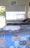 Туры в отель Black Swan Waterfront Motel